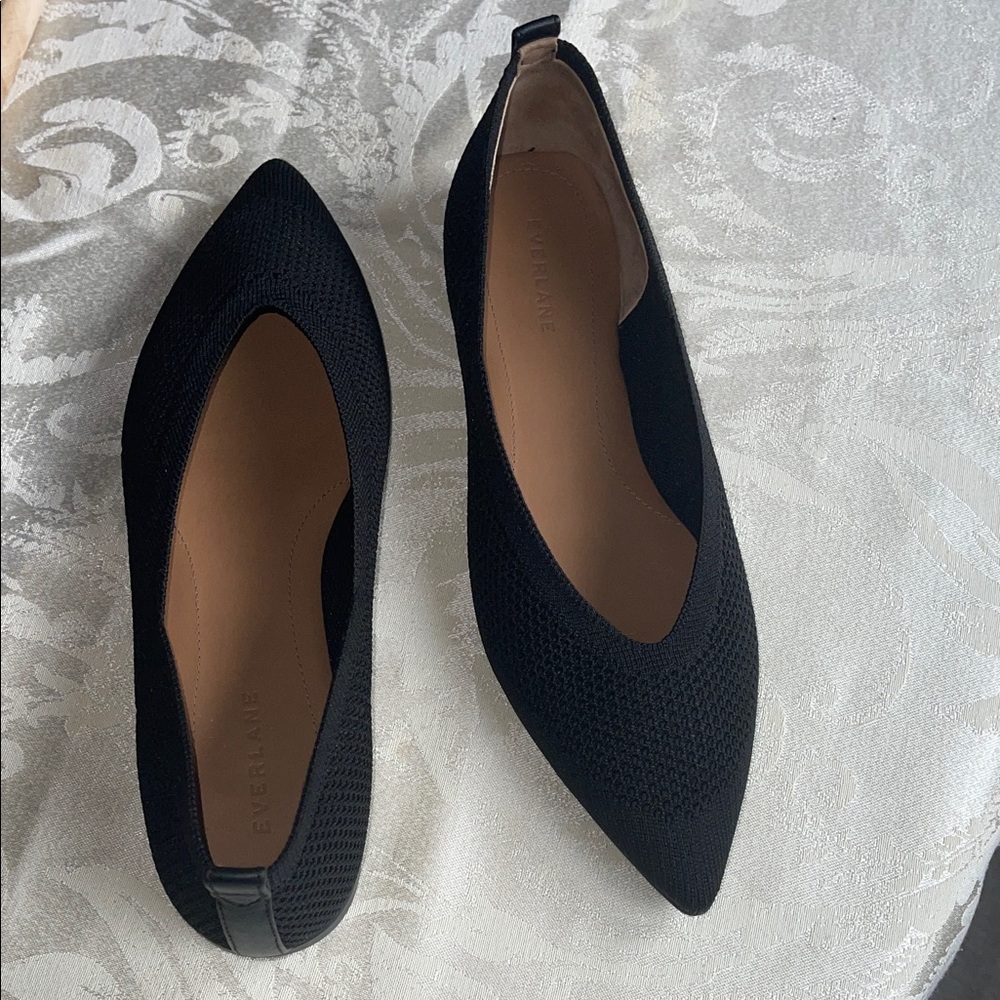 Everlane 40- hour pointed ballet flat